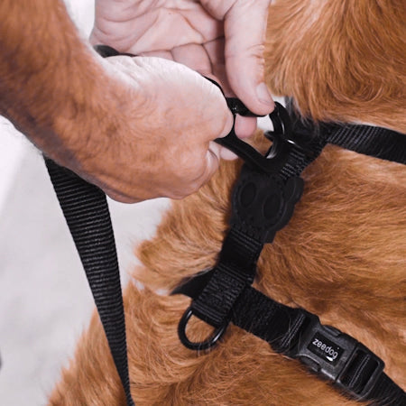 Neopro Lime | H-Harness