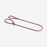 Cosmo | Slip-on Leash