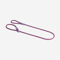 Cosmo | Slip-on Leash