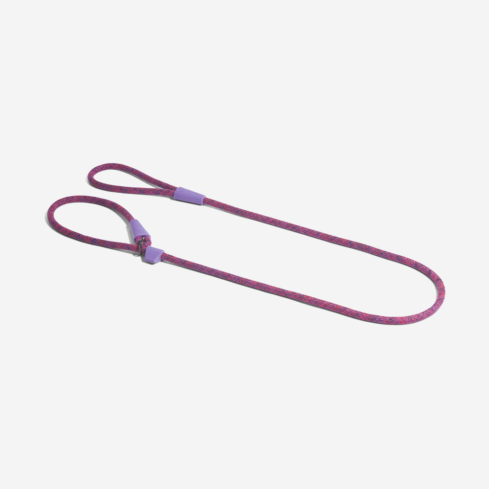 Cosmo | Slip-on Leash