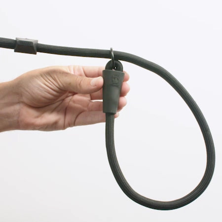 Cosmo | Slip-on Leash