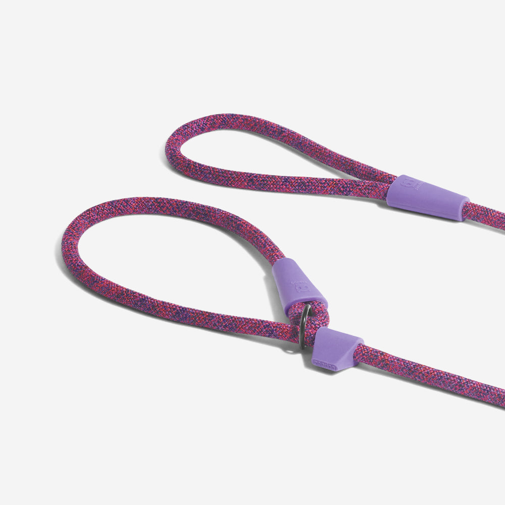 Cosmo | Slip-on Leash