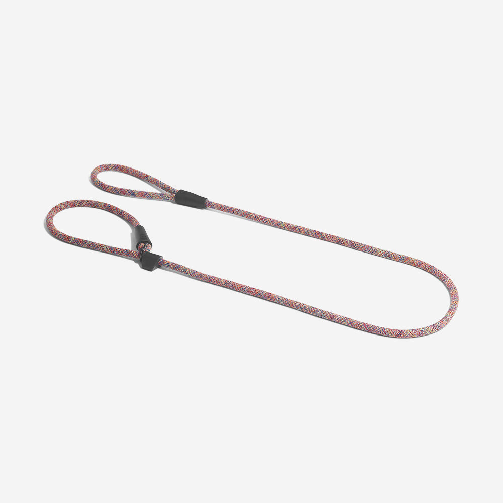 Vortex | Slip-on Leash