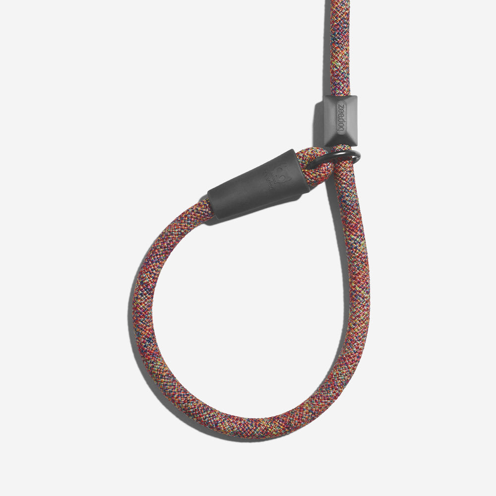 Vortex | Slip-on Leash