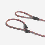 Vortex | Slip-on Leash