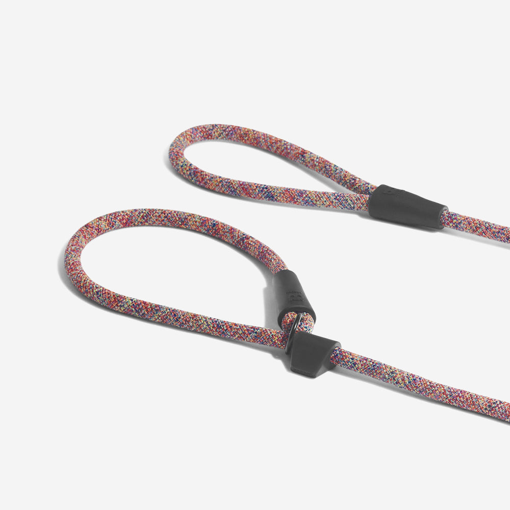 Vortex | Slip-on Leash